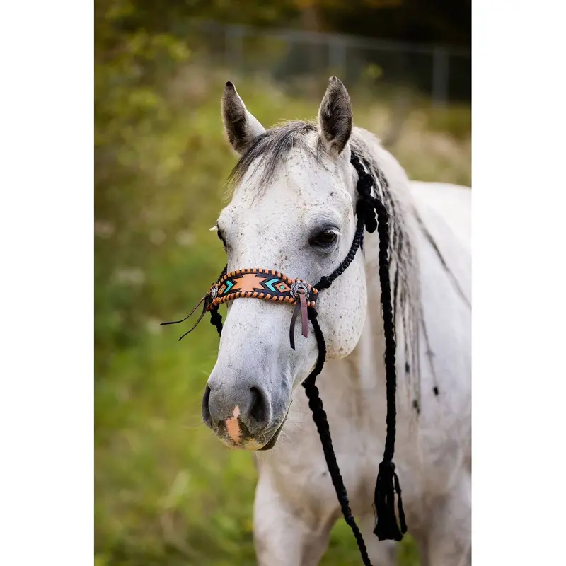 Braided Bronc Halter for Horses