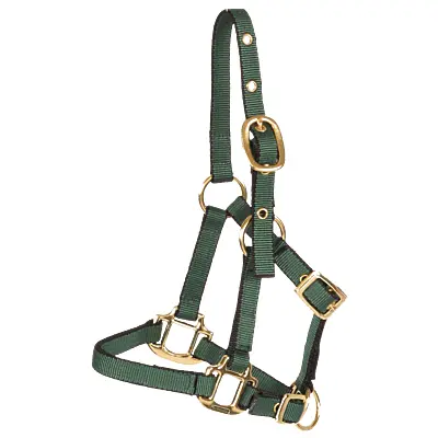 Burwash Miniature Horse Nylon Halter