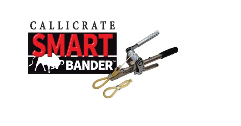 Callucrate Smart Bander – Precision Calving & Castration Tool