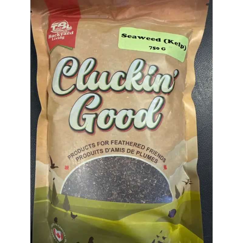Cluckin’ Good Organic Kelp Supplement for Poultry