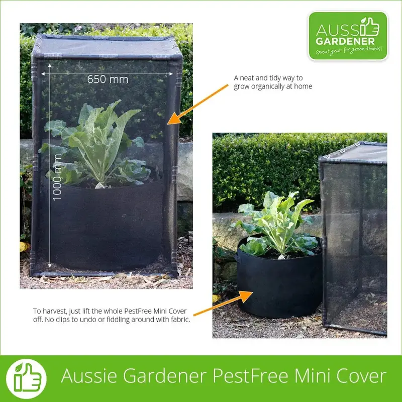 Compact Pest-Free Mini Garden Cover