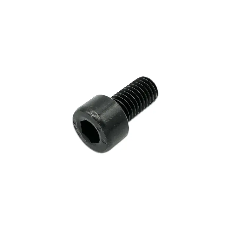 EGO 5620021002 Hex Socket Cap Screw