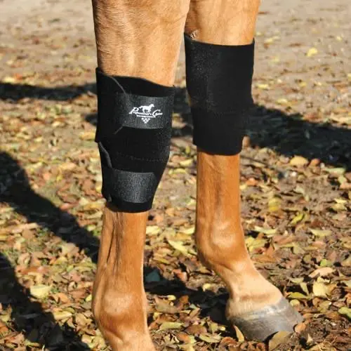 PC Equine Protective Knee Boots for Horses