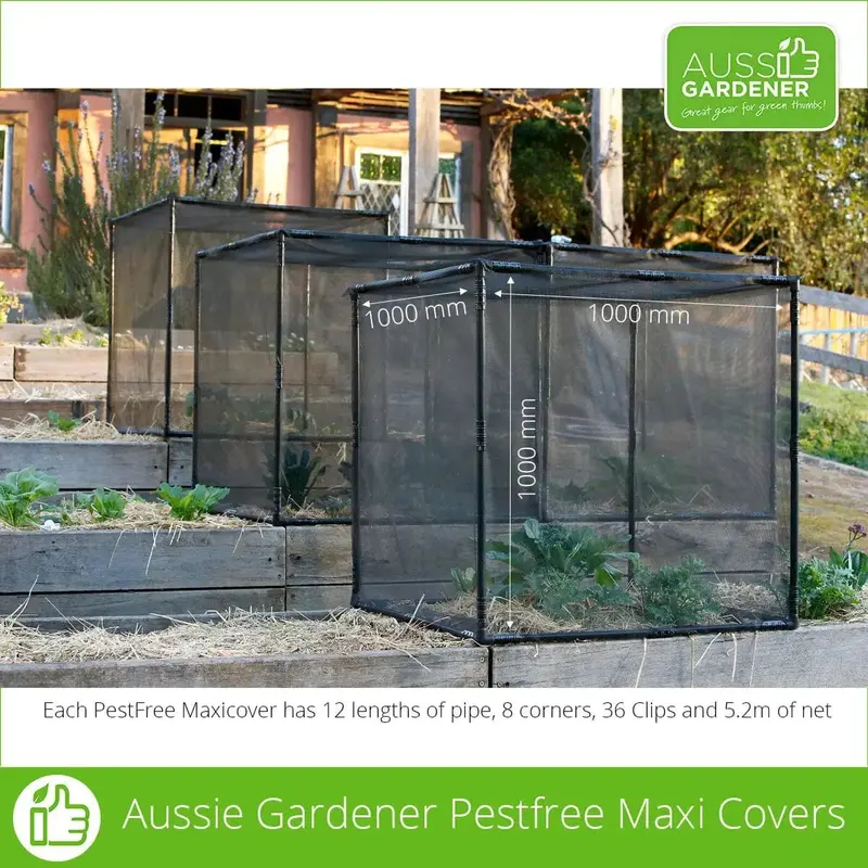 Pest-Free Maxi Cover – 1-Metre Cube Enclosure