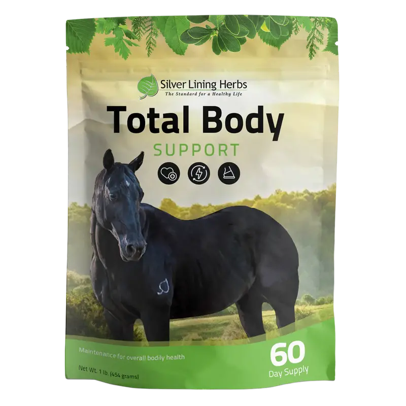 Silver Lining Herbs Total Body Wellness Support Supplement (16 oz)